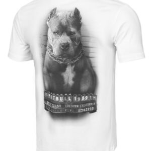 PITBULL Mugshot 2